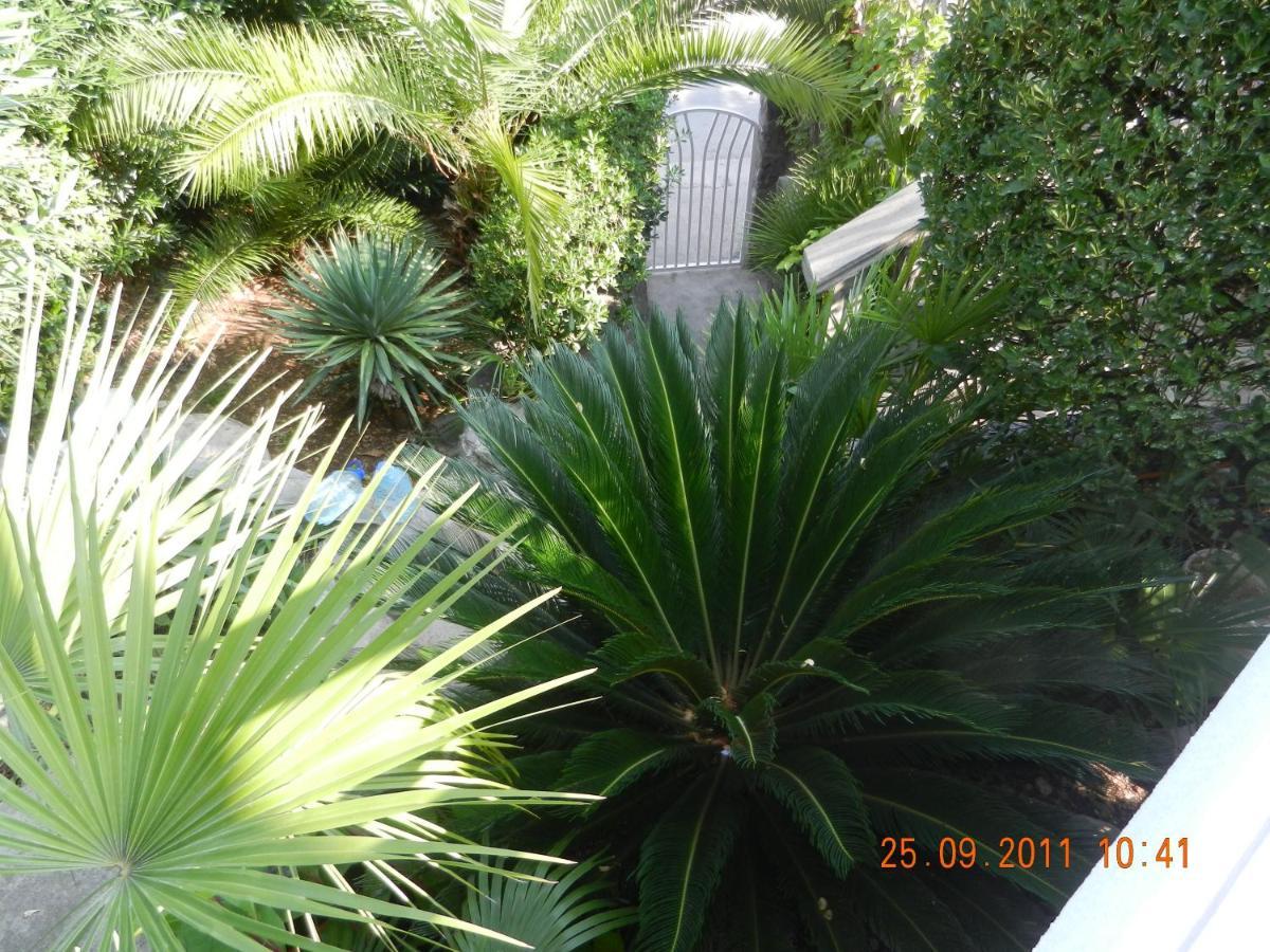 Apartments Sino More Tivat Exterior photo